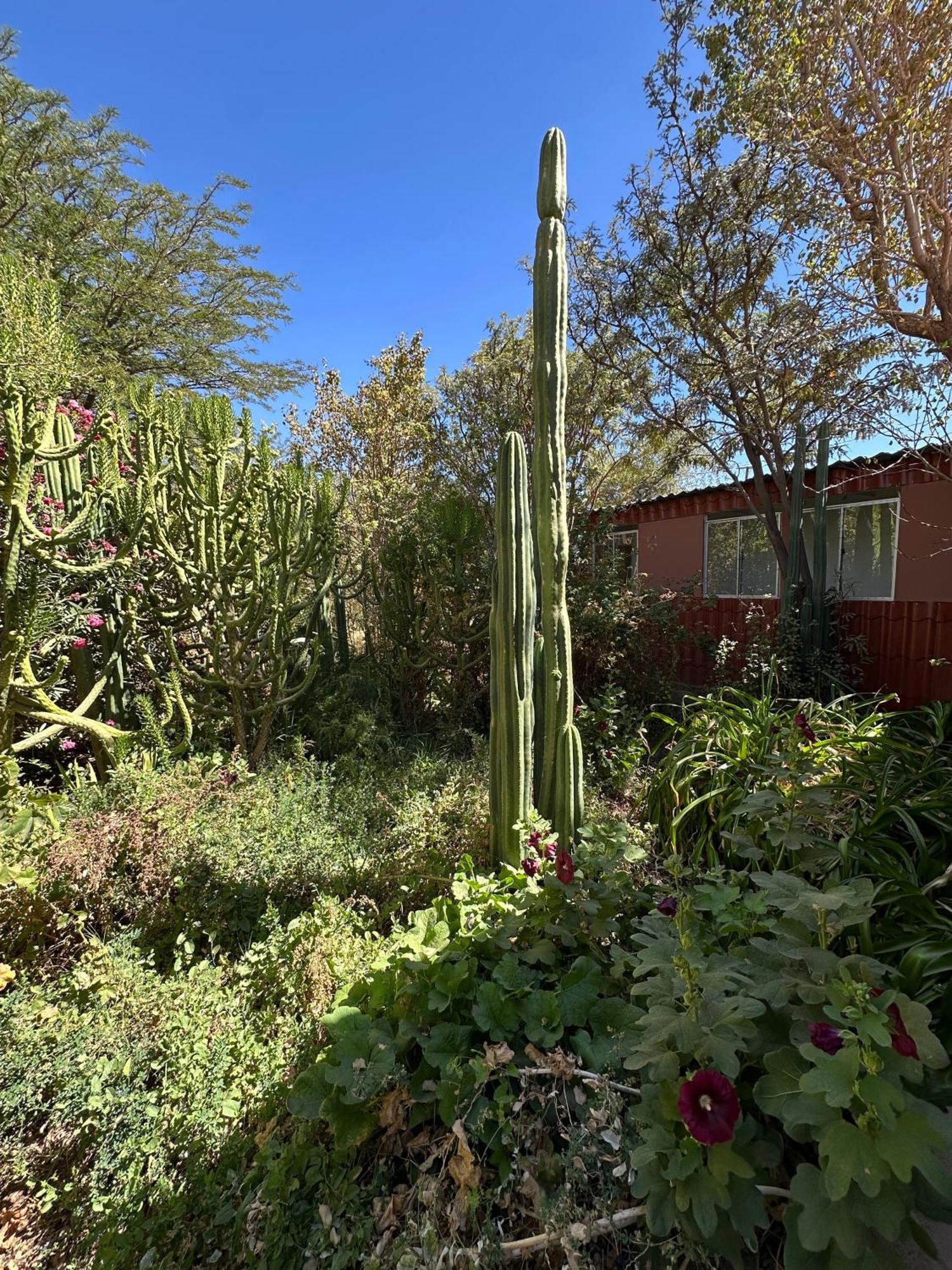 Apartamento Turisolcor Atacama San Pedro de Atacama Exterior foto